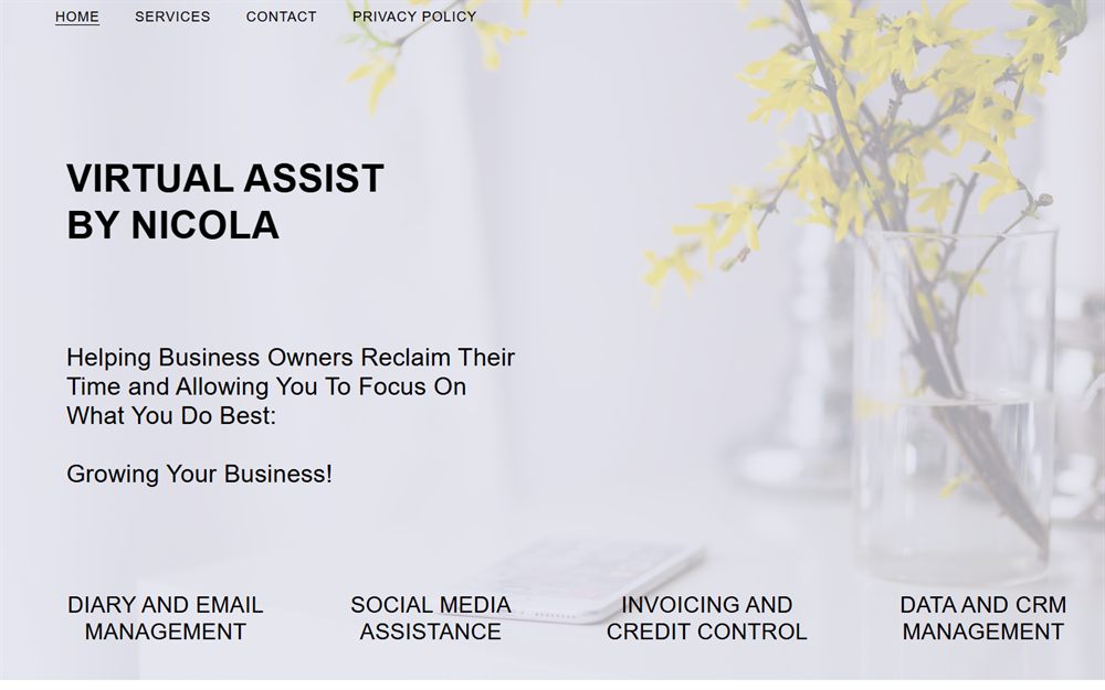 Screenshot of the VA by Nicola virtual assistant website project
